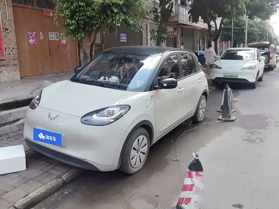 Wuling Motors Wuling Bingo 333km Quick Enjoy Version 2023