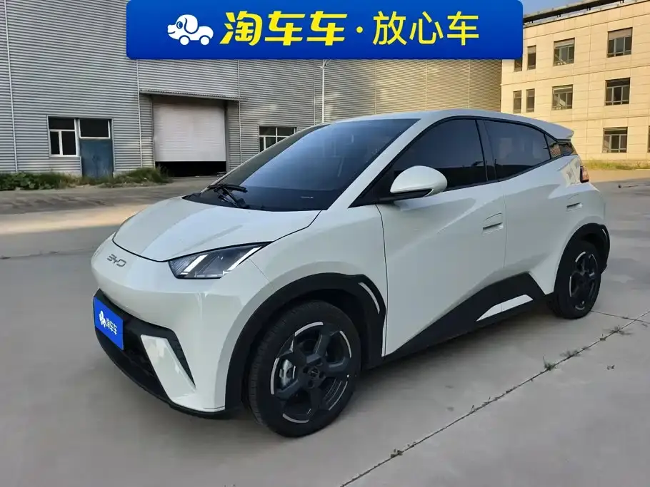 BYD Seagull Flying Edition 2024