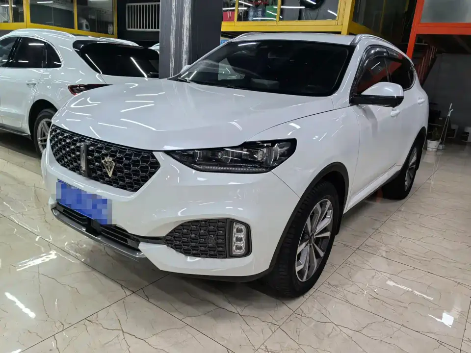 Wey VV6 2.0T 2WD Smart Protection+ 2020
