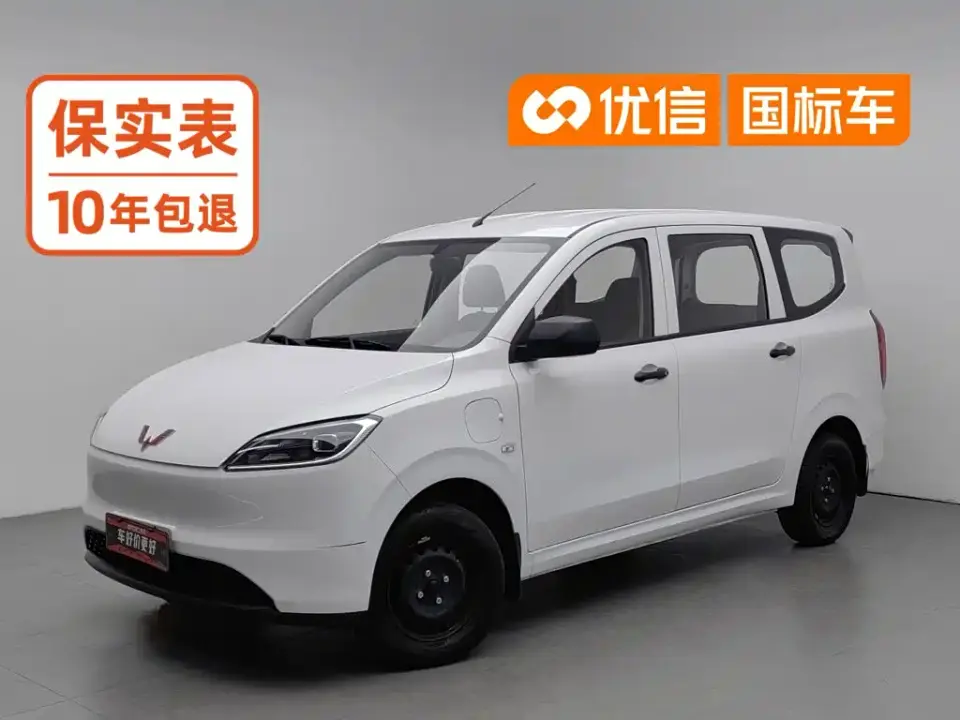 Wuling Motors Wuling Hongguang New Energy Model Pure Electric 300KM Utility Version 2024