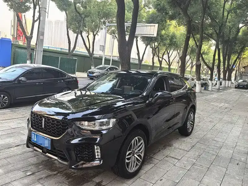 Wey VV5 1.5T 2WD Trend Pioneer 2019