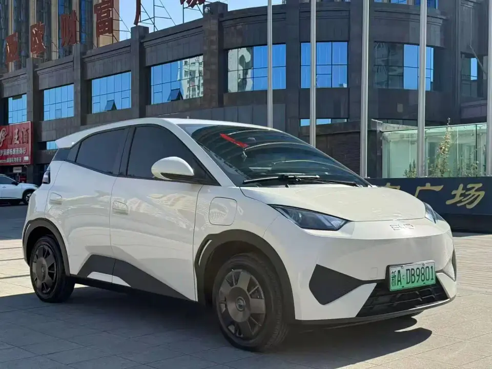 BYD Seagull Smart Drive Edition 305km Vitality Version 2025