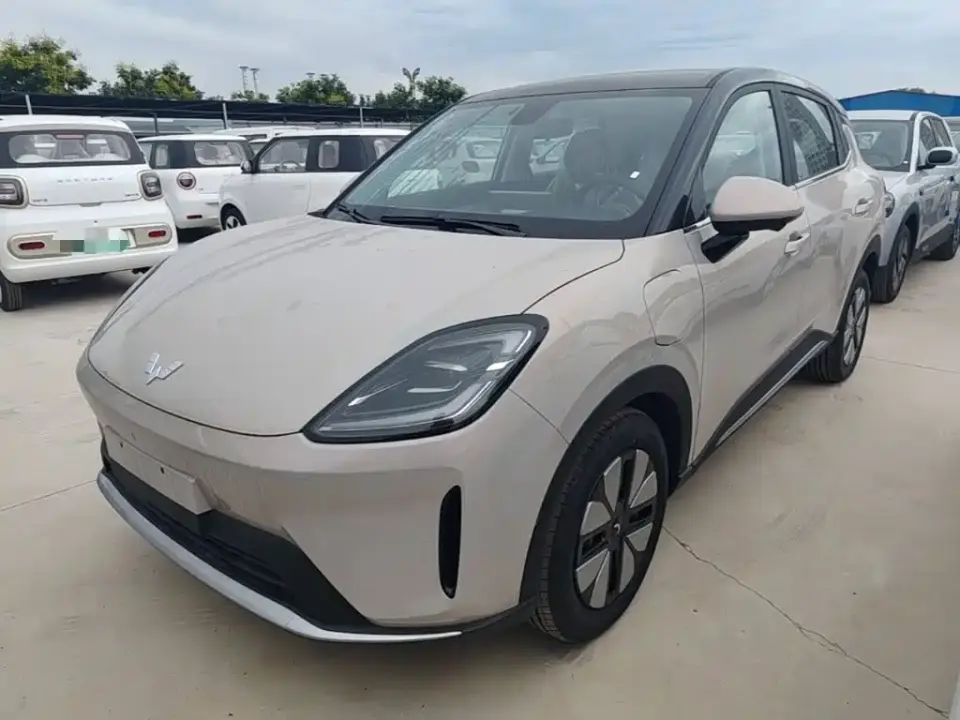Wuling Motors Wuling Bingo S Model 325km Premium Edition 2026