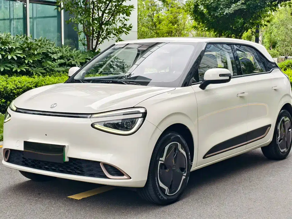 Dongfeng Yipai Nano 01 Renewal Edition 330 Plus Smart+ 2024