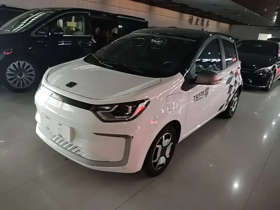 Sehol Flower Fairy 302km Luxury Edition 31.4kWh 2021