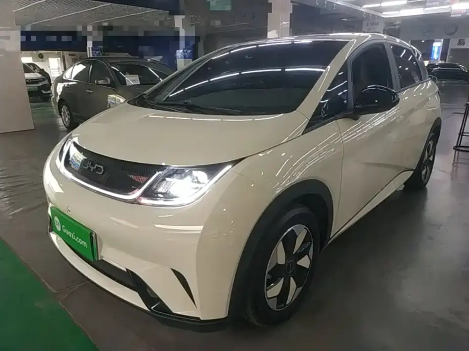 BYD Dolphin 420km Freedom Edition 2025