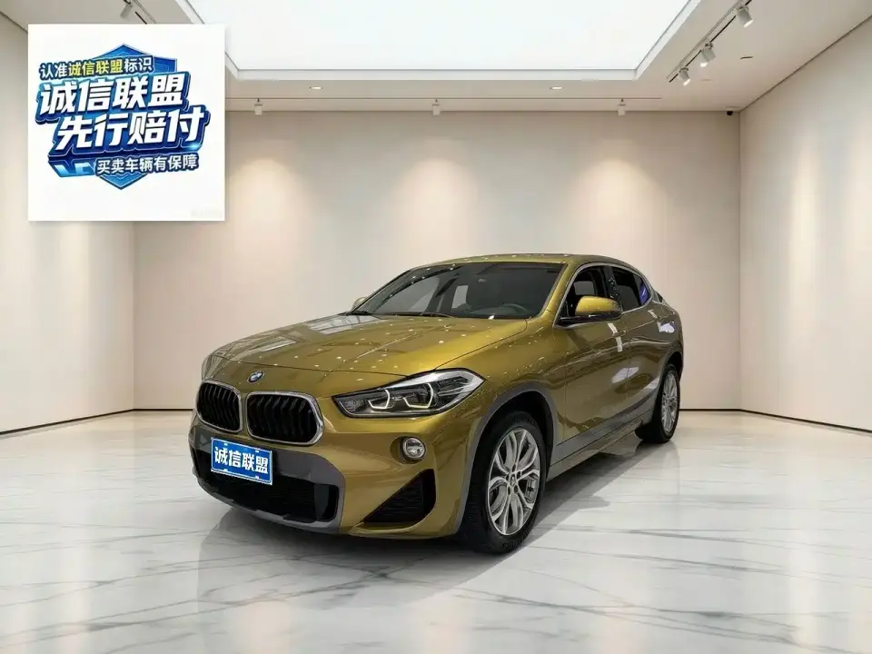 BMW X2 (Import) sDrive25i Leading M Off-Road Package China VI 2019