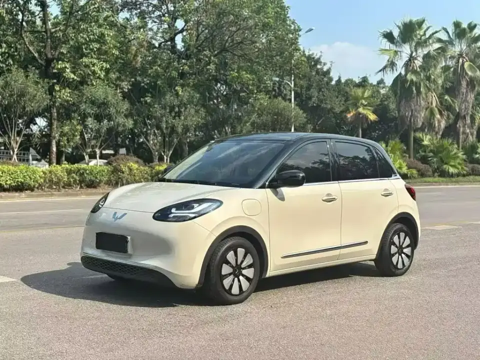 Wuling Motors Wuling Bingo Model 333km Joy Edition 2025