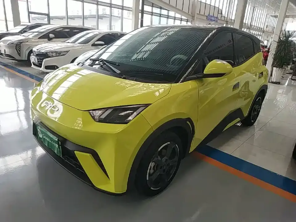 BYD Seagull Freedom Edition 2024