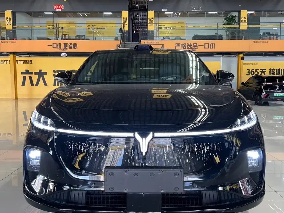 Voyah Auto Voyah Zhiyin Base 2025