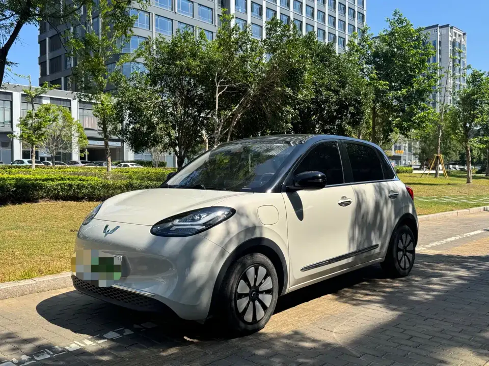 Wuling Motors Wuling Bingo 333km Smart Connect Edition 2024