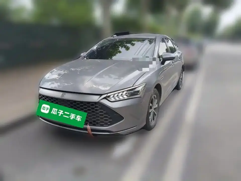 BYD Qin PLUS Champion Edition DM-i 55KM Leading 2024