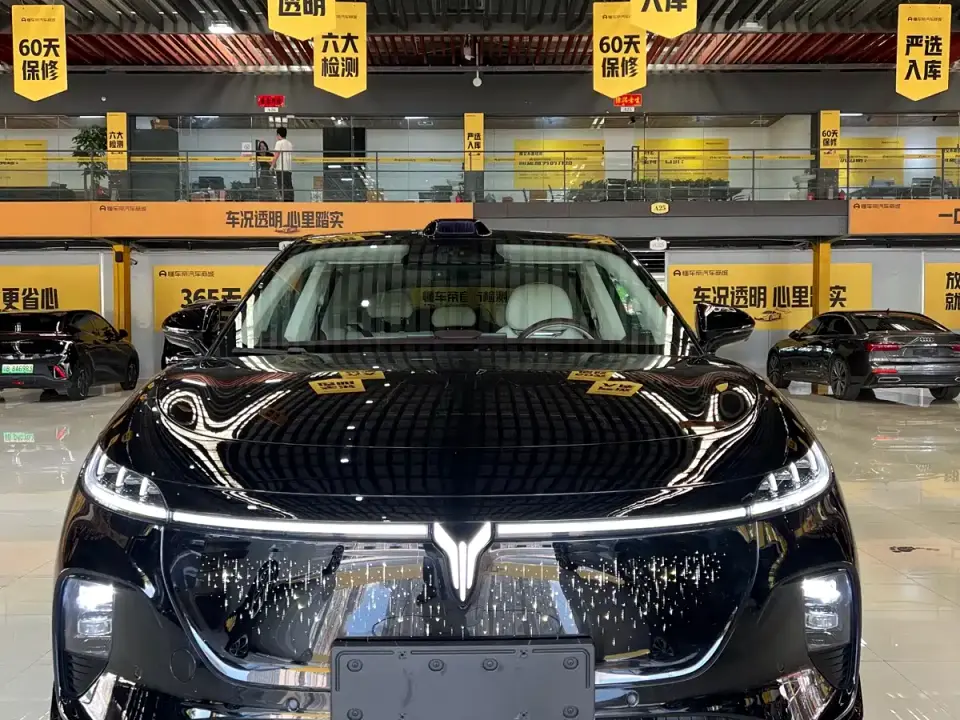 Voyah Auto Voyah Zhiyin Base 2025