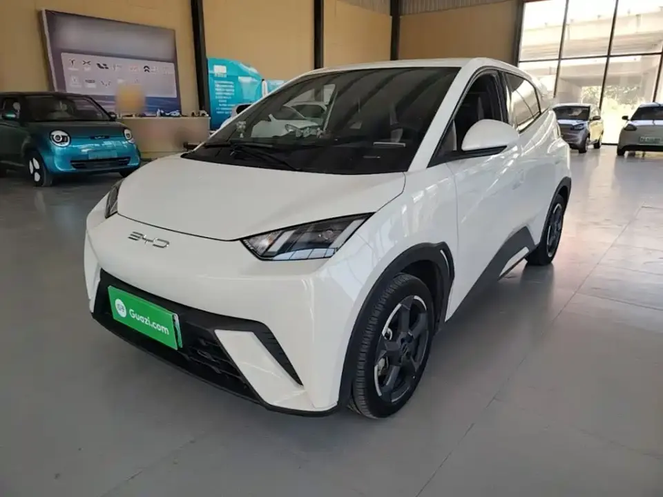 BYD Seagull Freedom Edition 2024