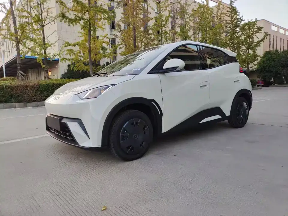 BYD Seagull Glory Edition 305km Vitality Edition 2024