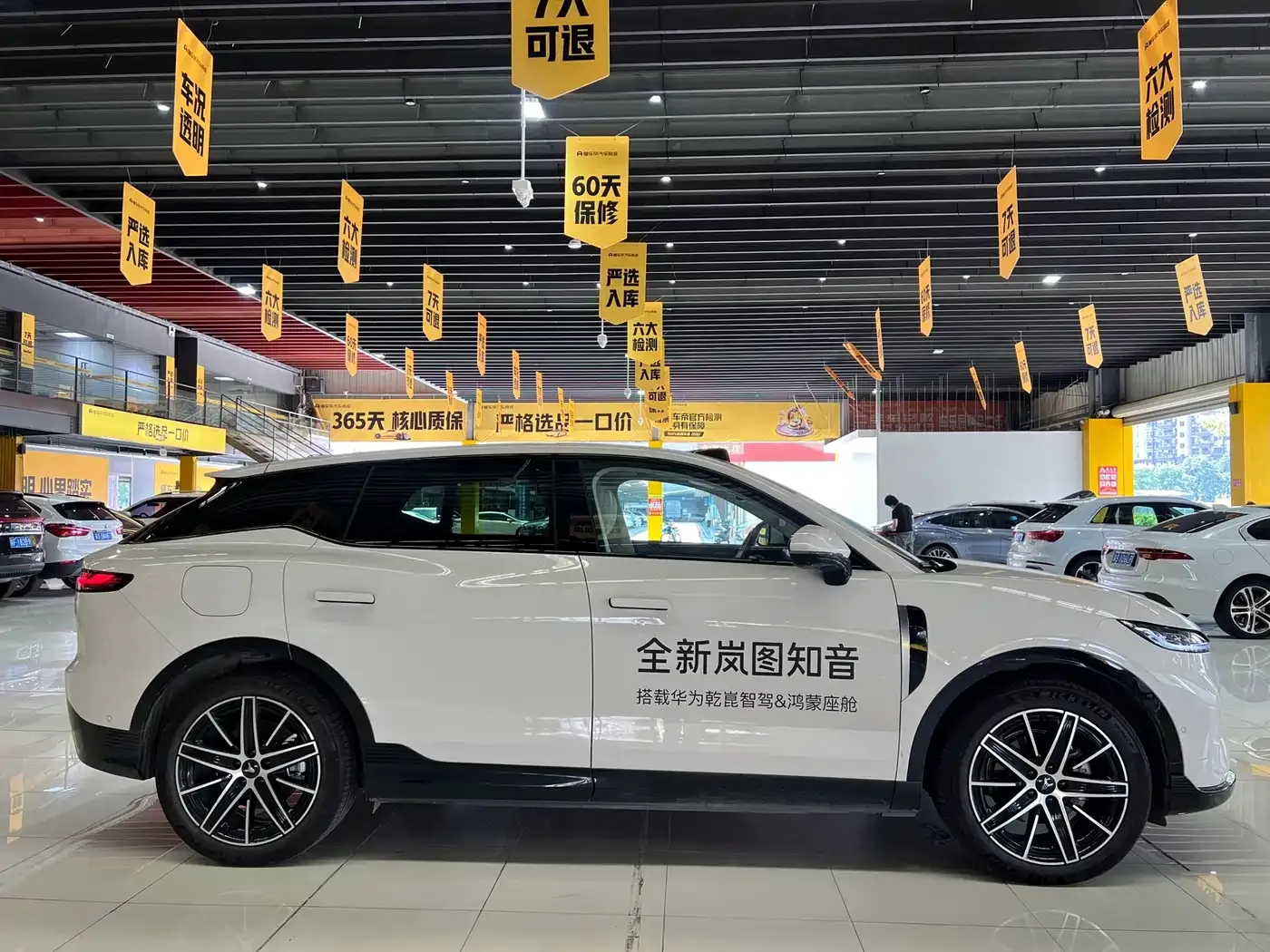 Voyah Auto Voyah Zhiyin Base 2025 — фото 3