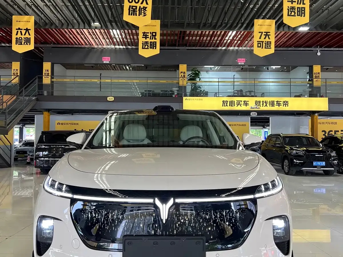 Voyah Auto Voyah Zhiyin Base 2025