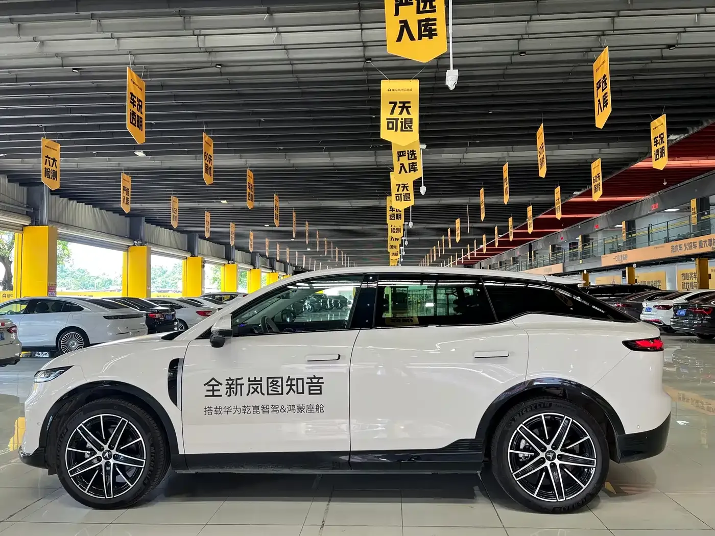 Voyah Auto Voyah Zhiyin Base 2025 — фото 7