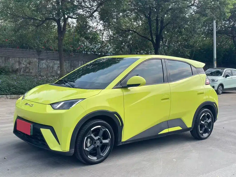 BYD Seagull Glory Edition 305km Freedom Edition 2024