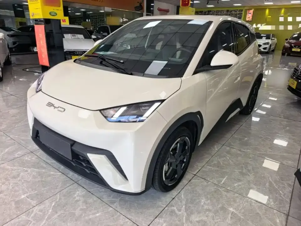 BYD Seagull Freedom Edition 2023