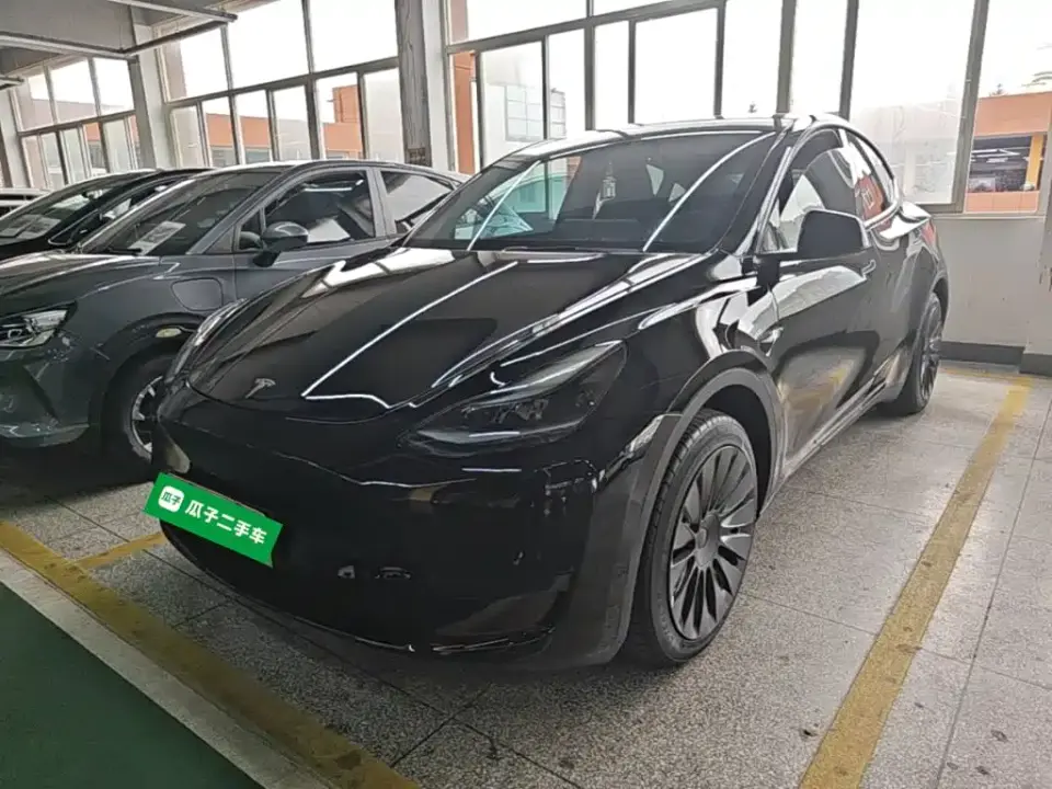 Tesla Model Y Rear-Wheel Drive Version 2024
