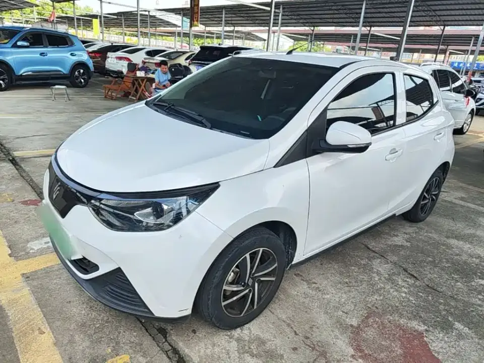 JMCG New Energy Little Kirin Model Lucky Edition 201km Luxury 2023