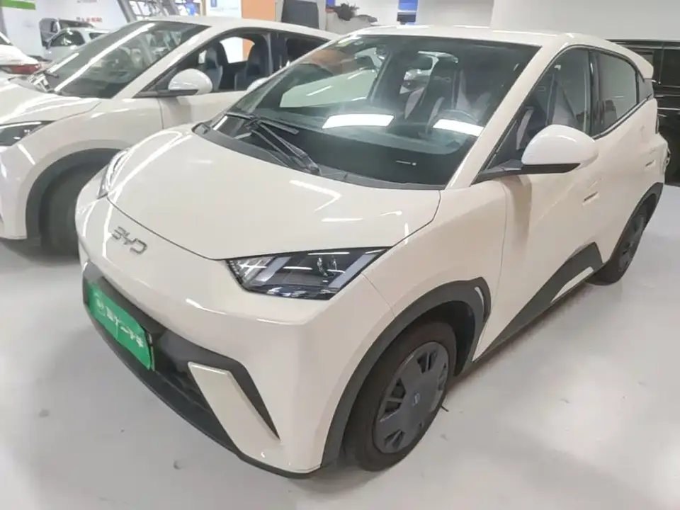 BYD Seagull 305km Vitality 2025