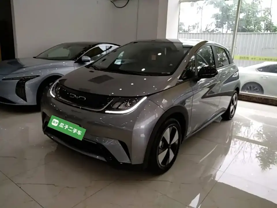 BYD Dolphin 420km Freedom Edition 2023
