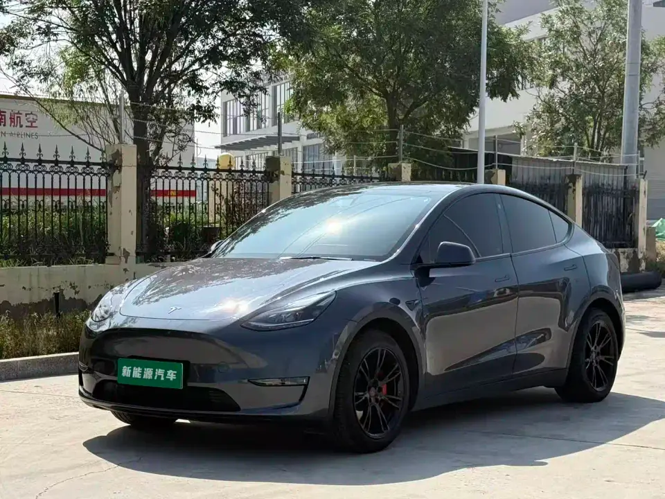 Tesla Model Y Model Long Range AWD 2021