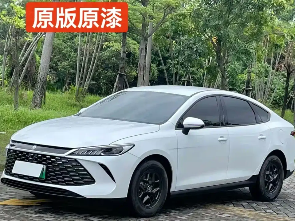 BYD Qin PLUS DM-i Smart Drive 55KM Leader 2025
