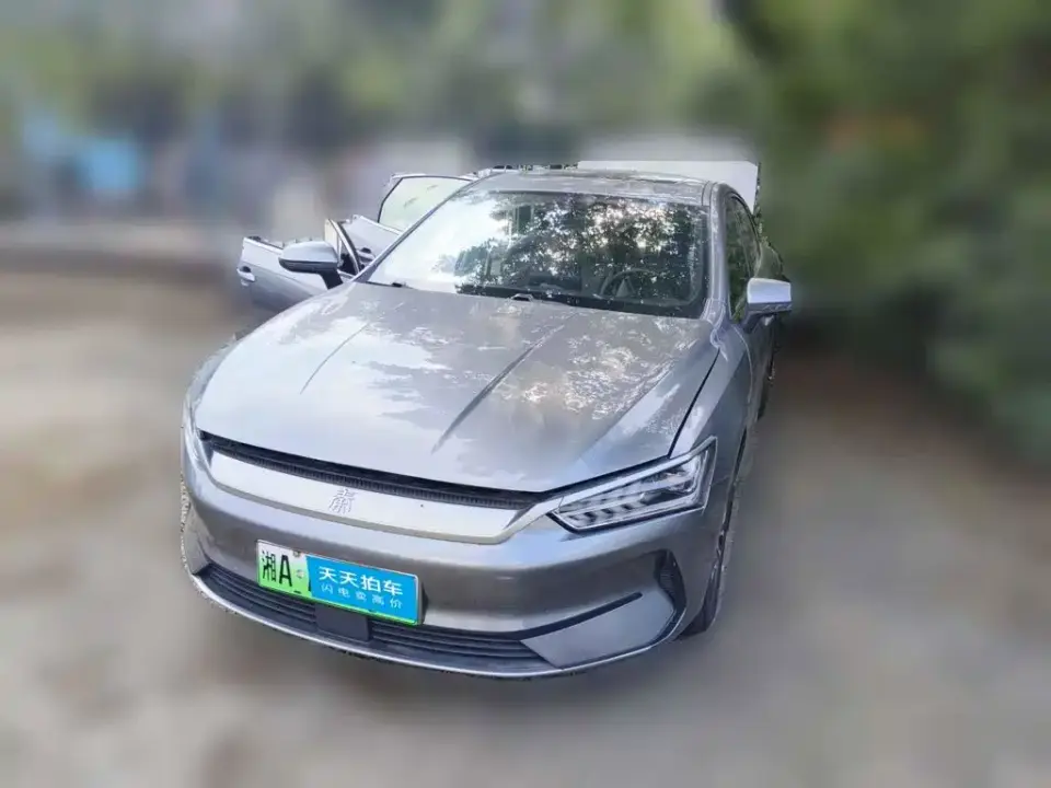 BYD Qin PLUS EV 500KM Luxury Model 2022