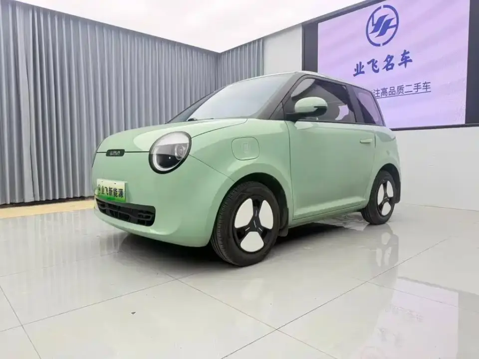 Changan Qiyuan Changan Lumin Model 205km Fragrant Edition 2024