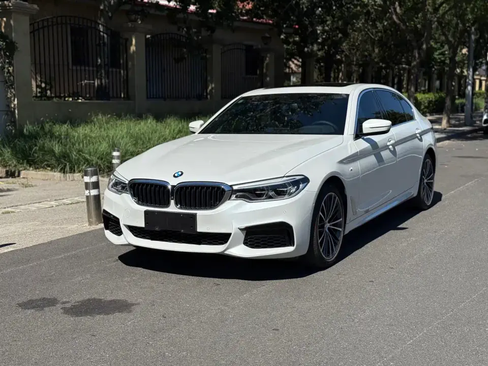 BMW 5 Series 530Li Exclusive M Sport Package 2020