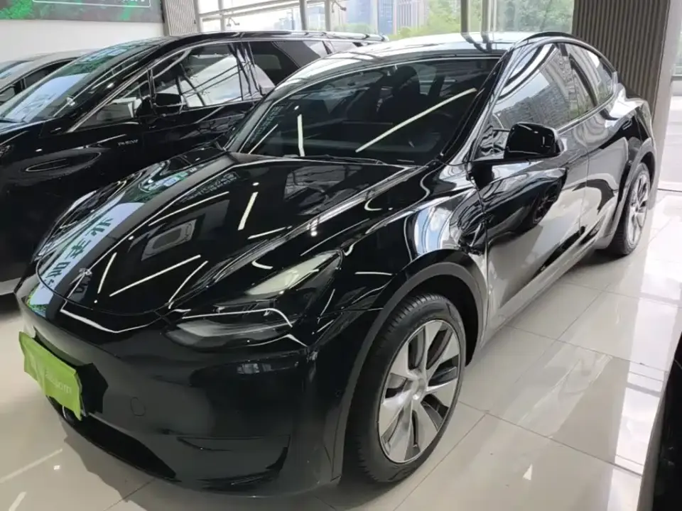 Tesla Model Y Rear-Wheel Drive Version 2022