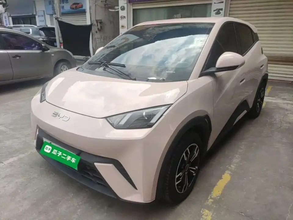 BYD Seagull Glory Edition 305km Vitality Edition 2024