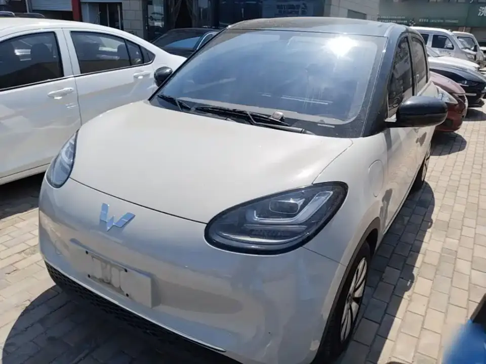 Wuling Motors Wuling Bingo 333km Comfort Edition 2024