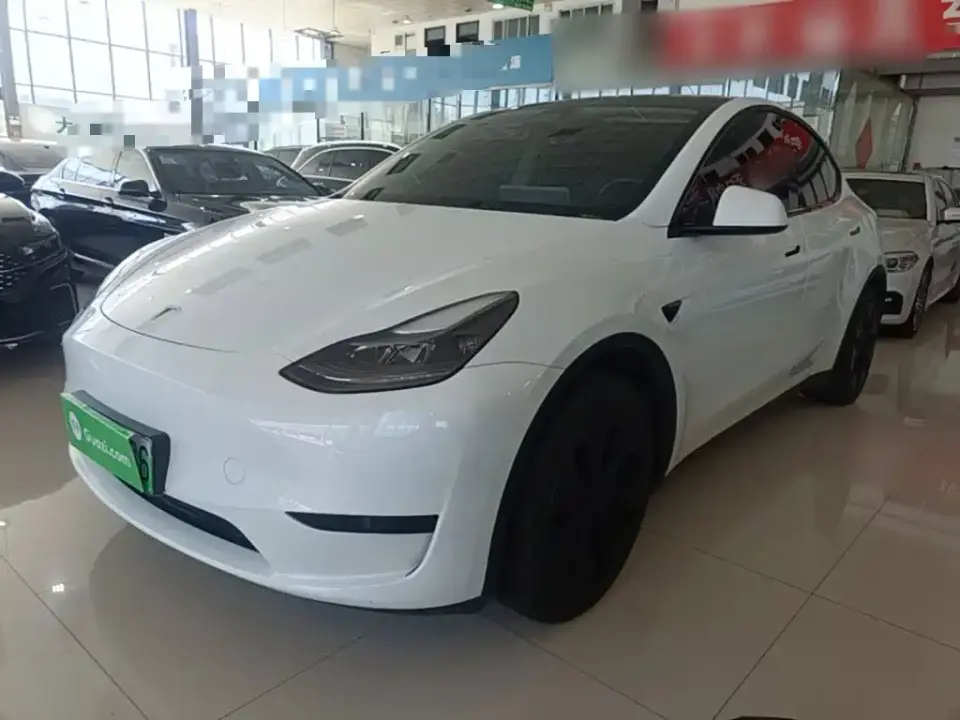 Tesla Model Y Rear-Wheel Drive Version 2024