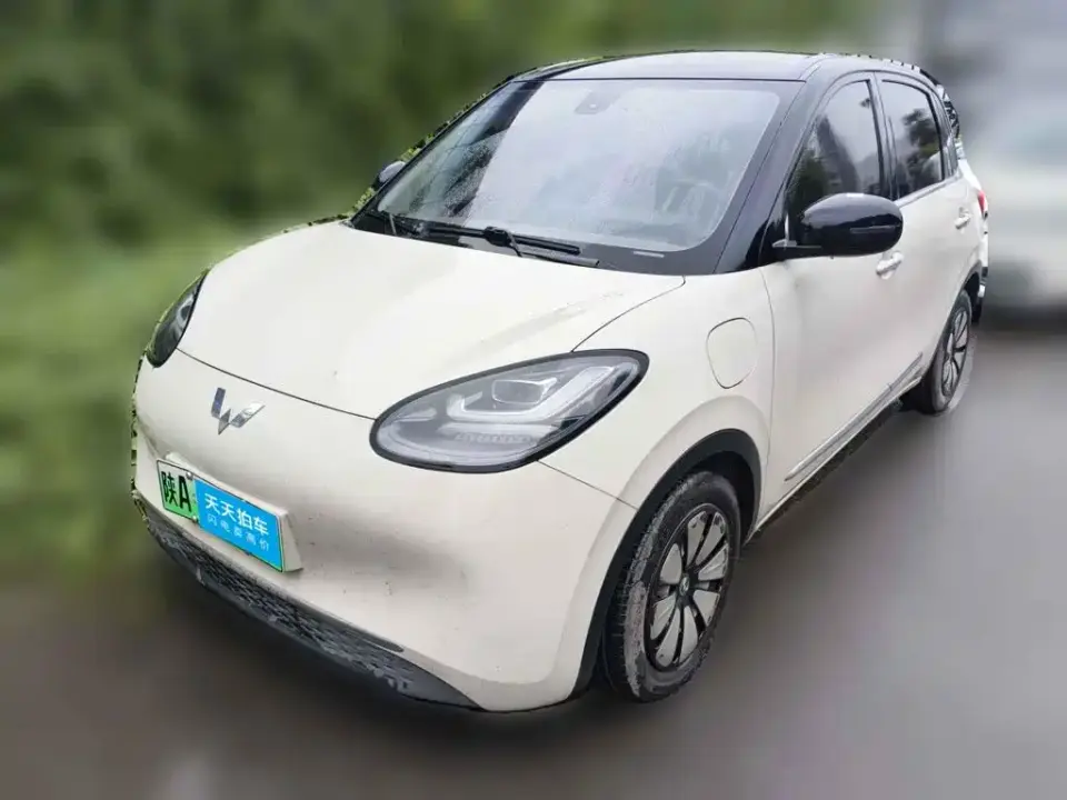 Wuling Motors Wuling Bingo Model 333km Joy+ Version 2023