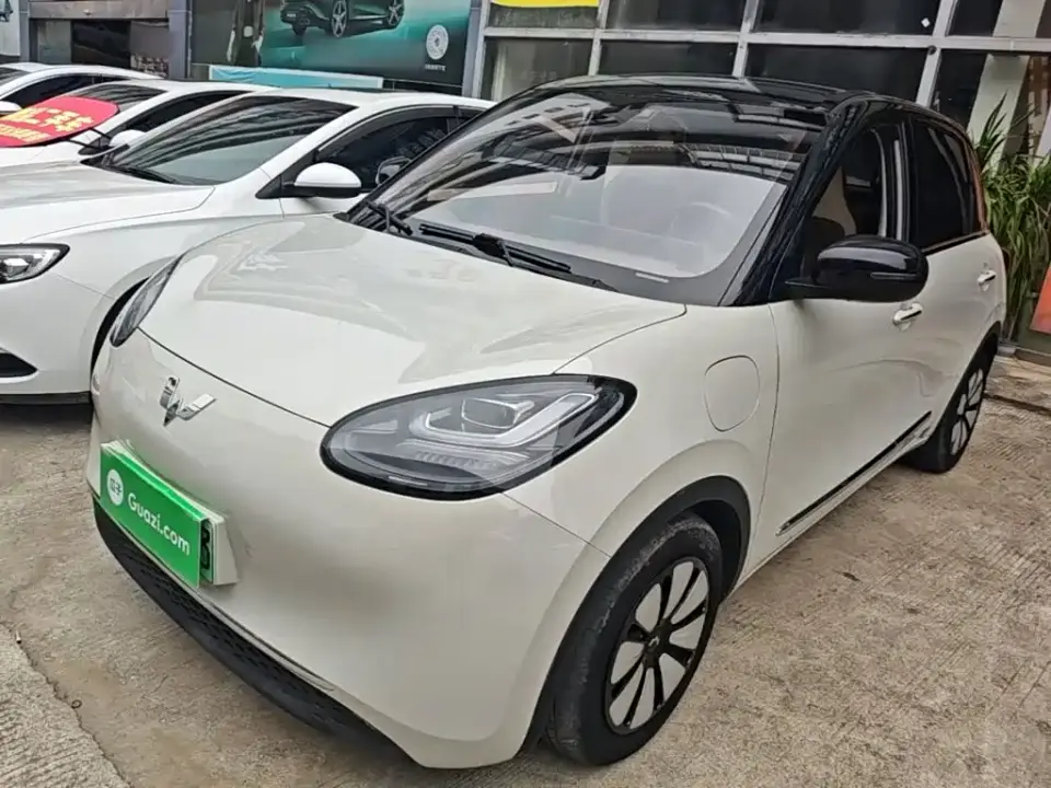 Wuling Motors Wuling Bingo 333km Smart Connectivity Edition 2023