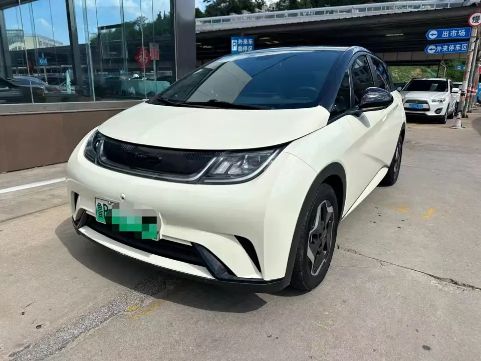 BYD Dolphin Model 405km Fashion Edition 2022