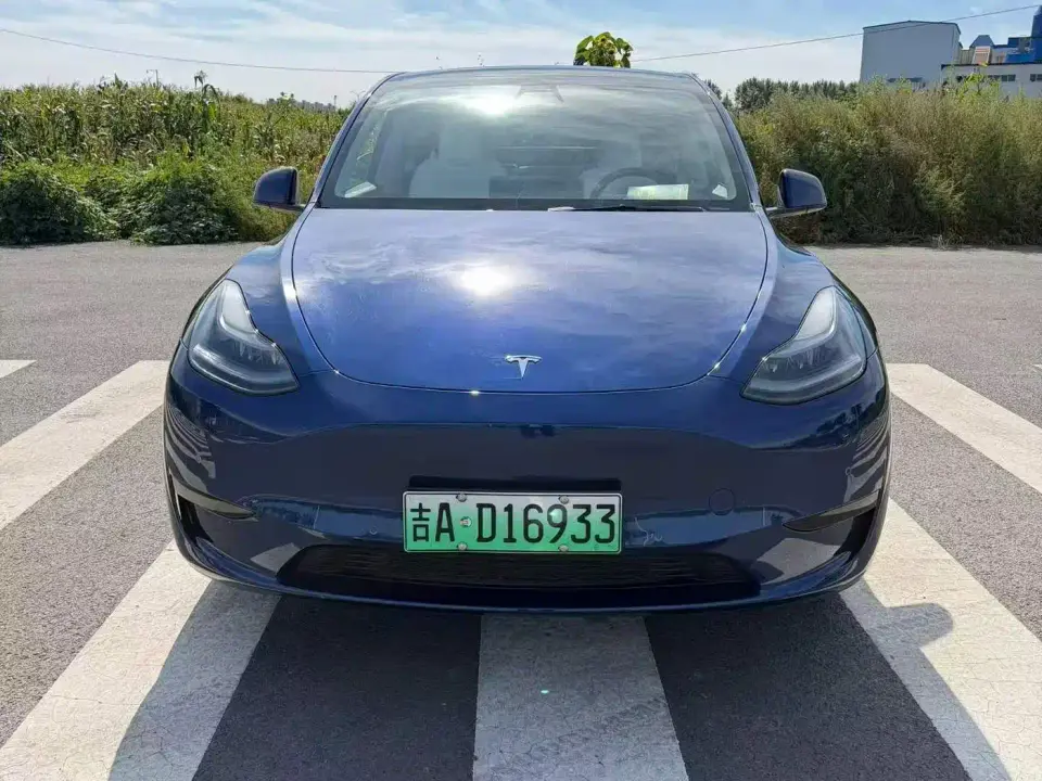 Tesla Model Y Rear-Wheel Drive Version 2022