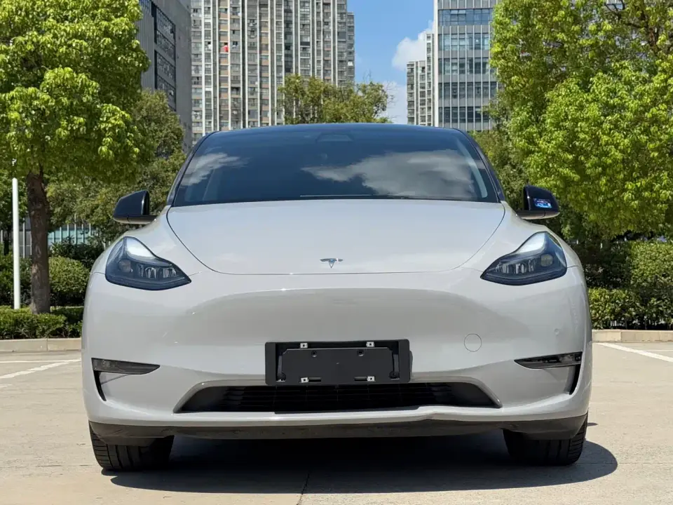 Tesla Model Y Standard Range Rear-Wheel Drive 2021