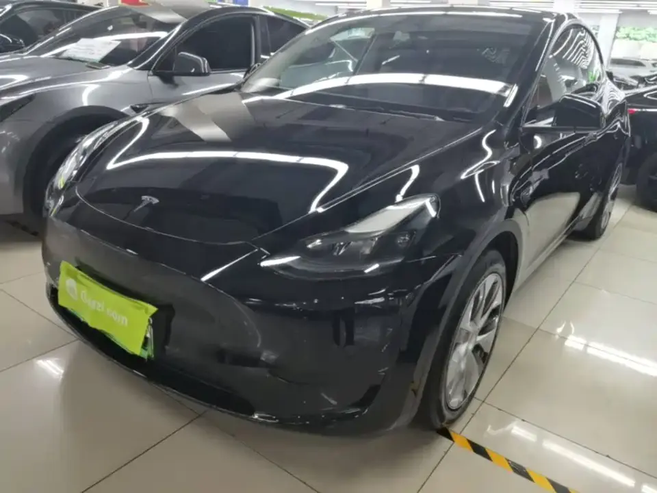Tesla Model Y Rear-Wheel Drive Version 2022