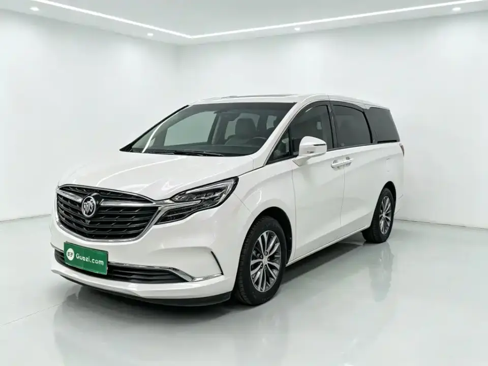 Buick GL8 ES Landmark 653T Comfort 2022