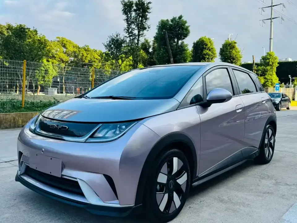 BYD Dolphin 401km Knight Edition 2021