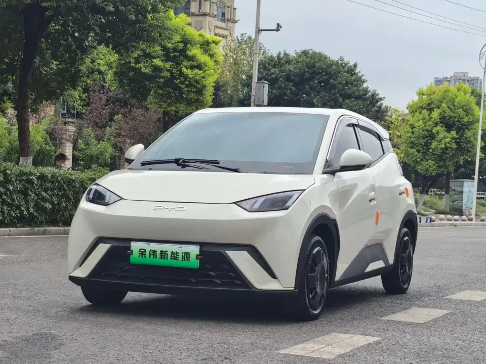 BYD Seagull Glory Edition 305km Freedom Edition 2024