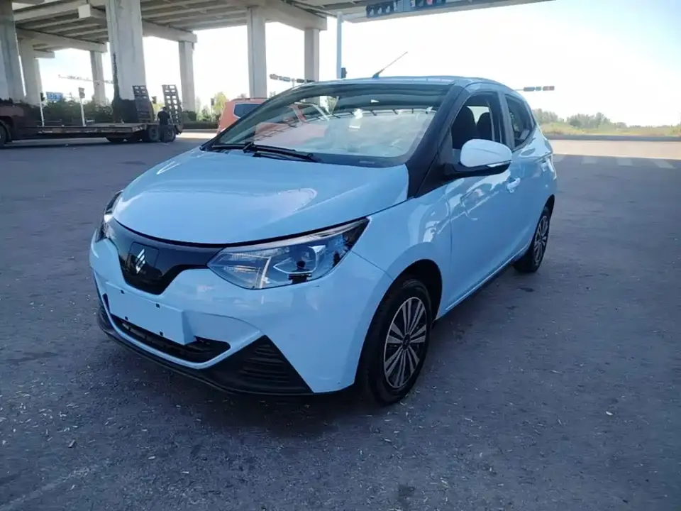 JMCG New Energy Little Kirin 201km Comfort Model 2025