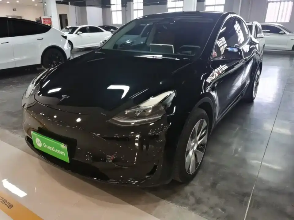 Tesla Model Y Rear-Wheel Drive Version 2022