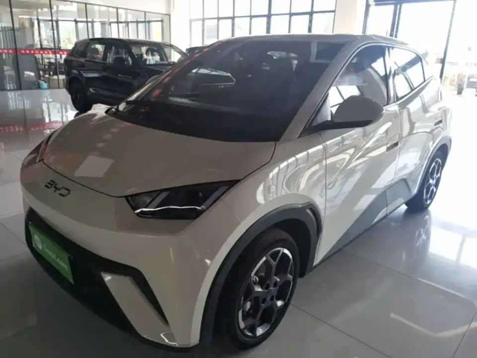 BYD Seagull 305km Freedom 2025