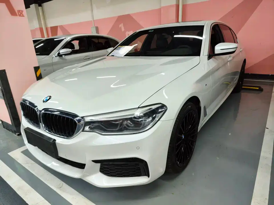 BMW 5 Series 530Li Leading M Sport Package 2020